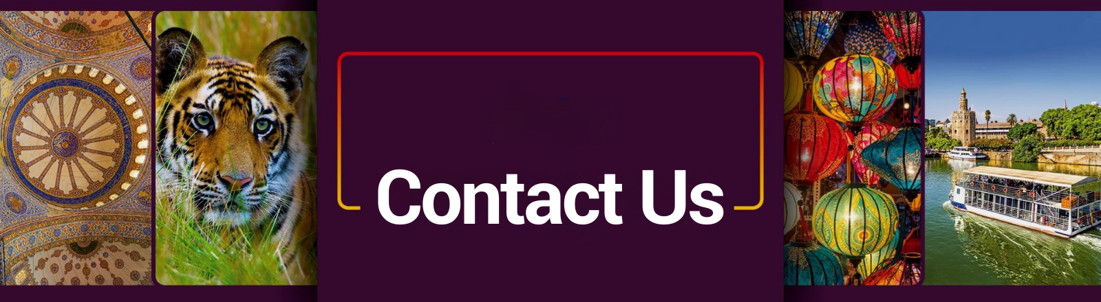 Contact Us