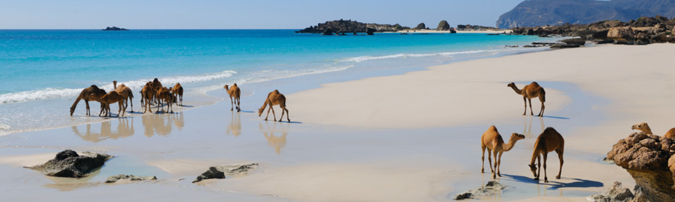 Visit Oman