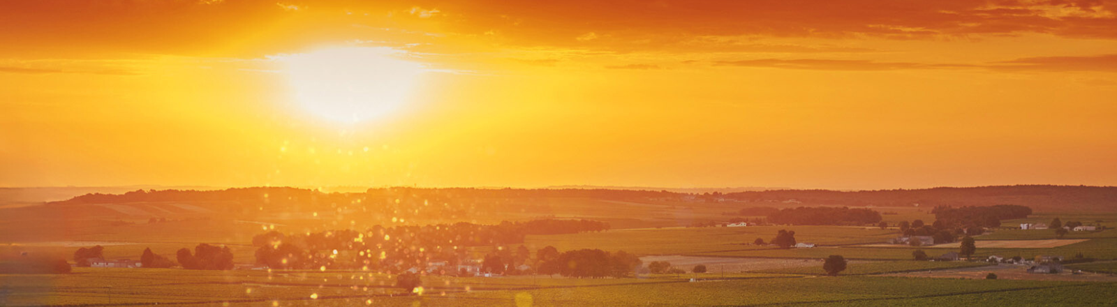 Explore Cognac