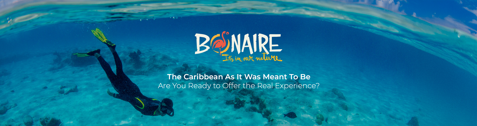 Welcome to the Bonaire Course!