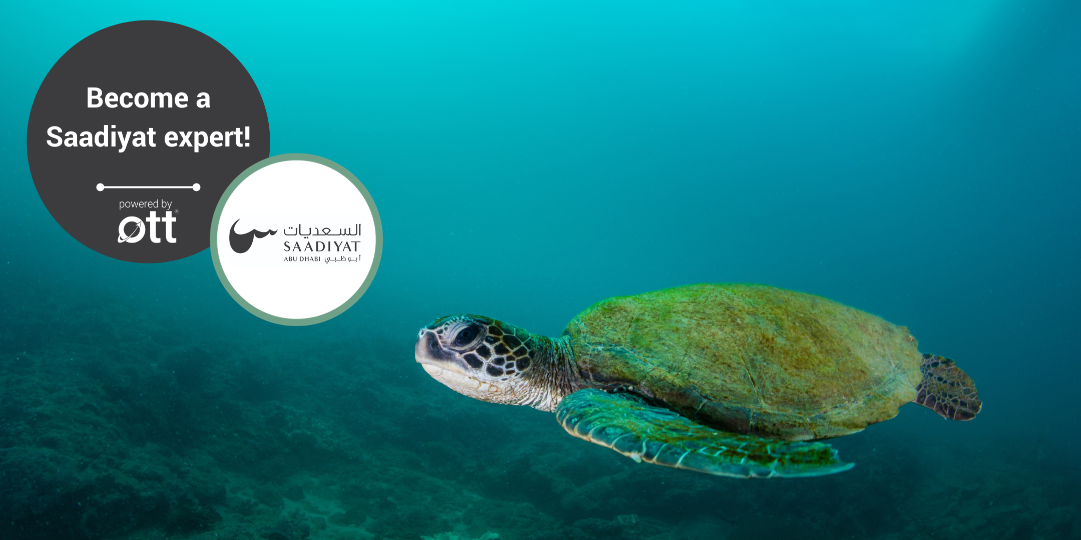OTT Webinar - Become a Saadiyat expert!